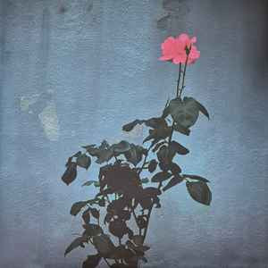 Home Front (2) : Watch It Die (LP, Album, Whi)