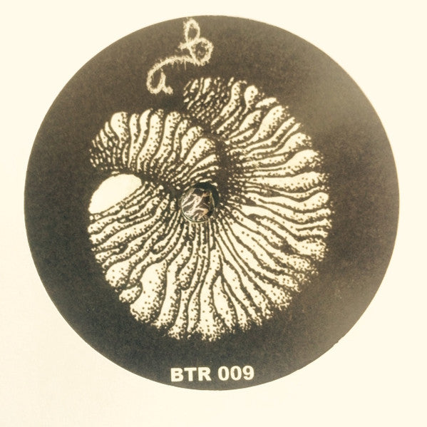 Full Of Hell : Amber Mote In The Black Vault (7", EP)