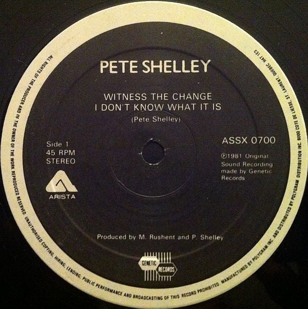 Pete Shelley : Witness The Change / I Don't Know What It Is / Homosapien (Dance Party Dub Mix) (12", Single, Ltd)