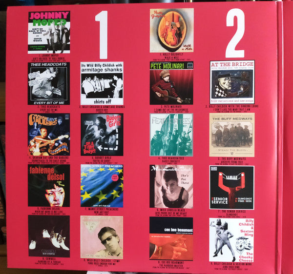 Various : Noisy Round Plastic - 1988 - 2018 (2xLP, Comp)