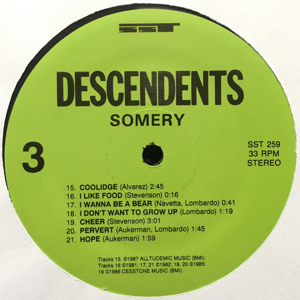 Descendents : Somery (2xLP, Comp, RP)