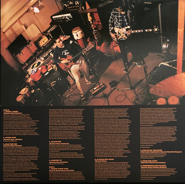 Beastie Boys : Check Your Head (4xLP, Album, RM, 180 + Box, Dlx, Ltd, RE, RM)