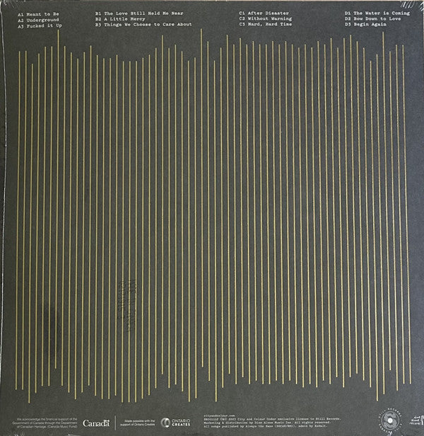 City And Colour : The Love Still Held Me Near (2xLP, Album, Ltd, Cle)