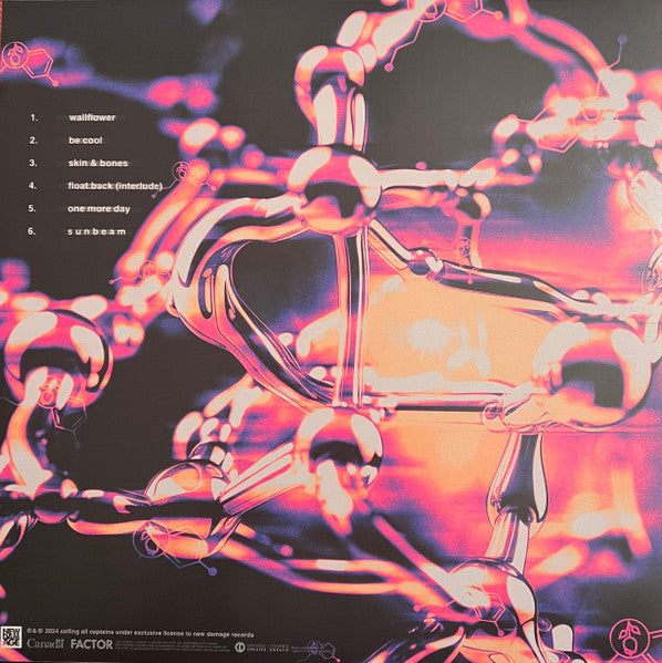 Calling All Captains : (e)Motion Sickness (LP, S/Sided, EP, Etch, Ltd, Bla)