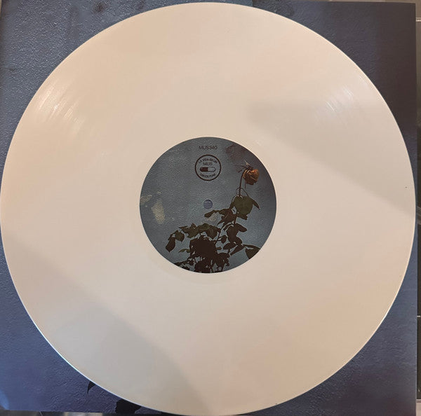 Home Front (2) : Watch It Die (LP, Album, Whi)
